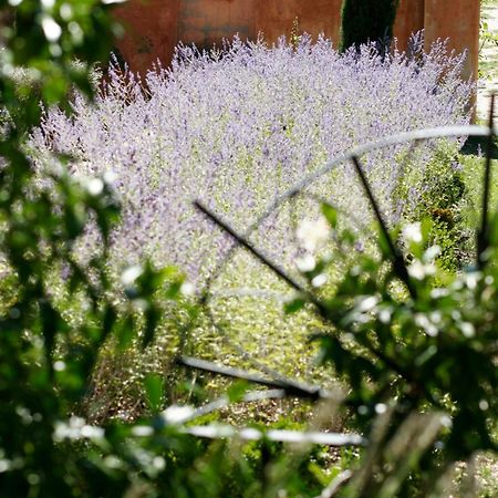 Santa Maria Lignano Casa Rosaゲストハウス エクステリア 写真
