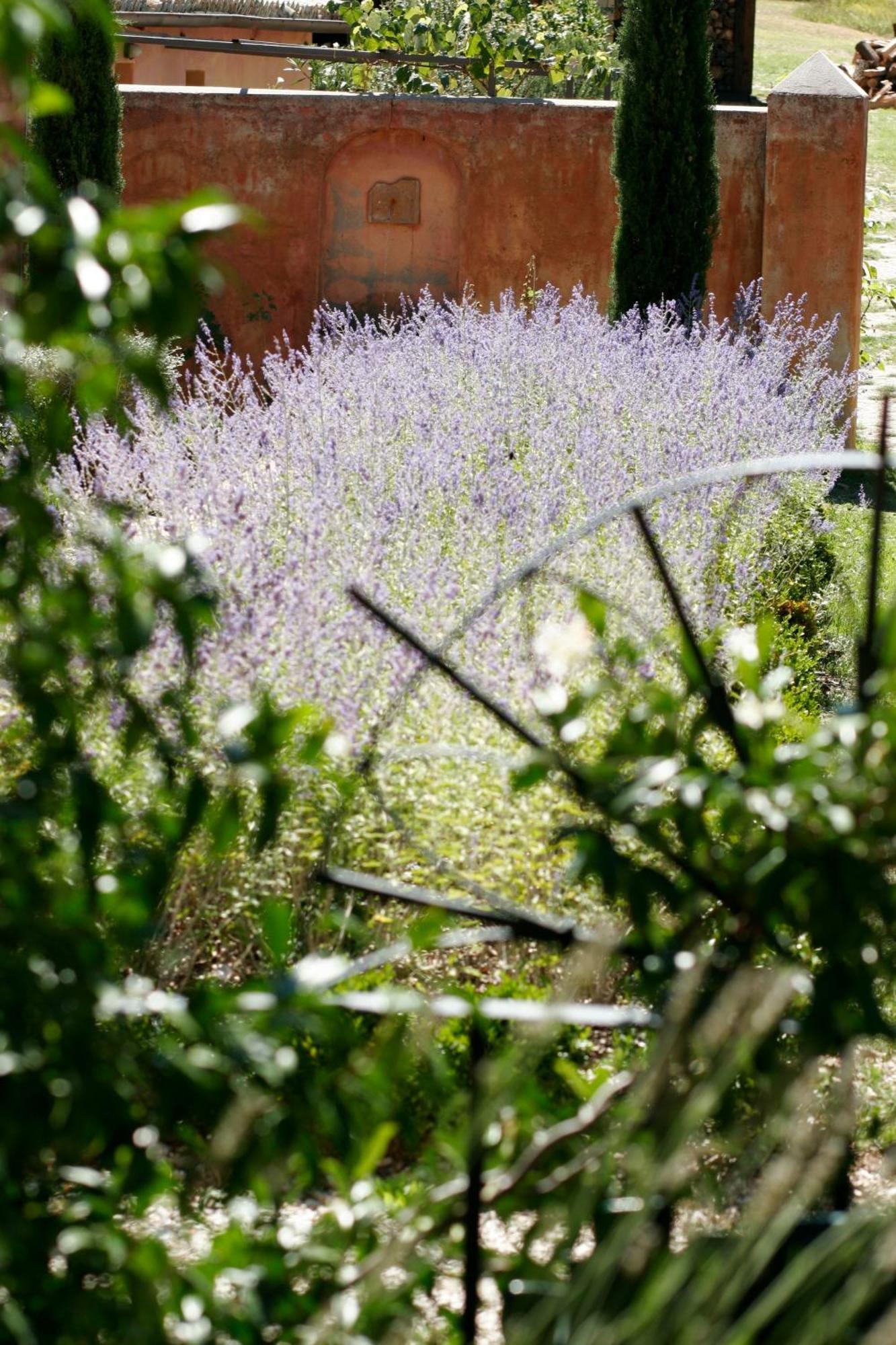 Santa Maria Lignano Casa Rosaゲストハウス エクステリア 写真