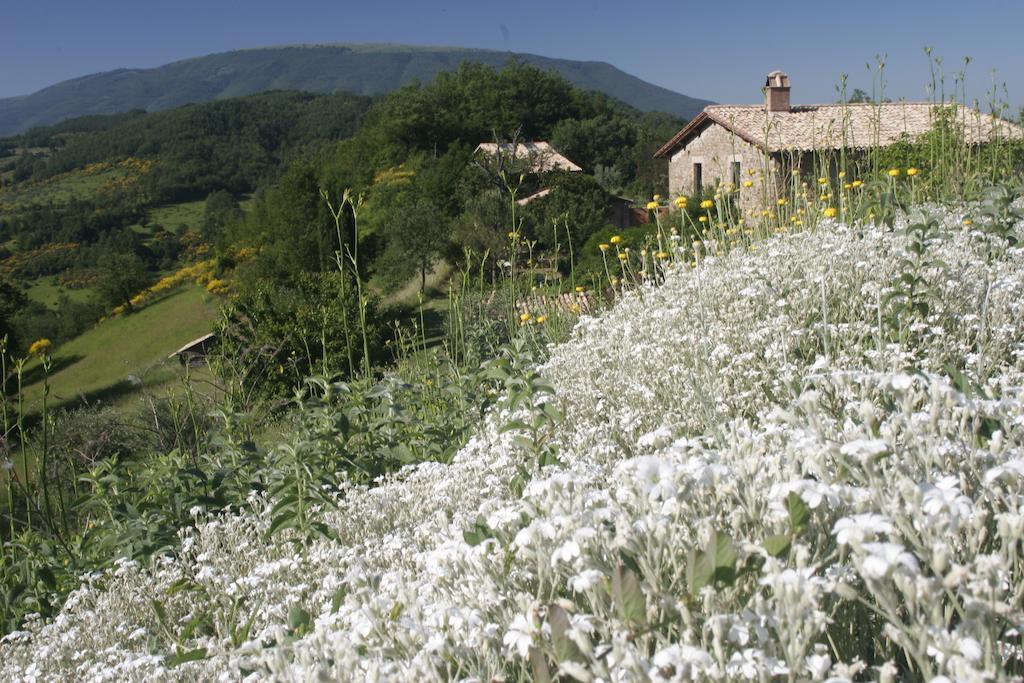 Santa Maria Lignano Casa Rosaゲストハウス エクステリア 写真