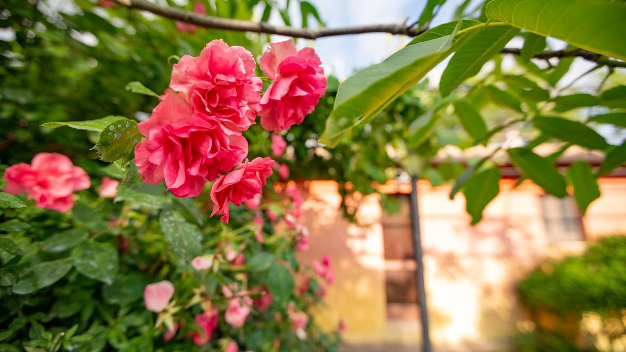 Santa Maria Lignano Casa Rosaゲストハウス エクステリア 写真