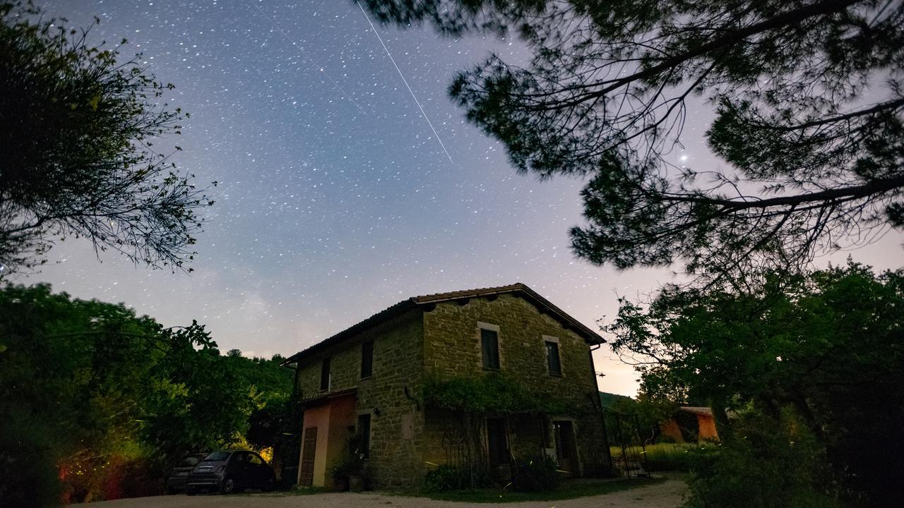 Santa Maria Lignano Casa Rosaゲストハウス エクステリア 写真
