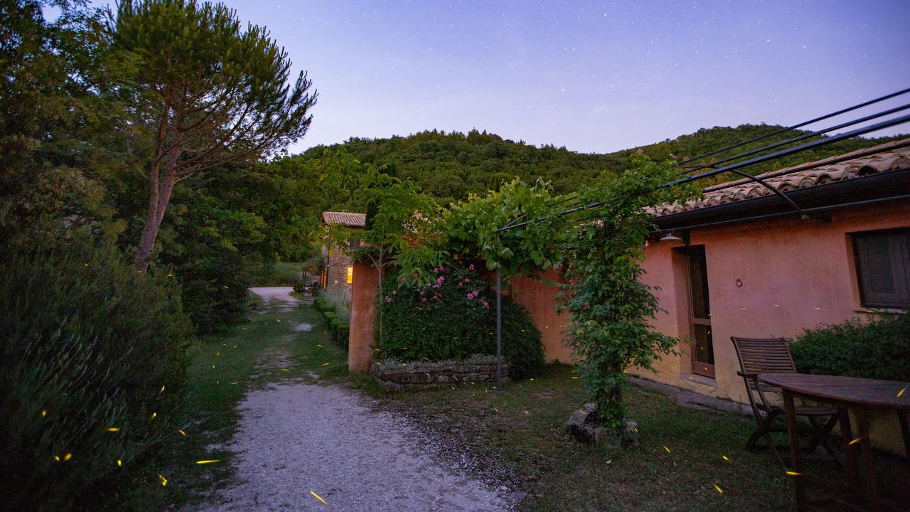 Santa Maria Lignano Casa Rosaゲストハウス エクステリア 写真